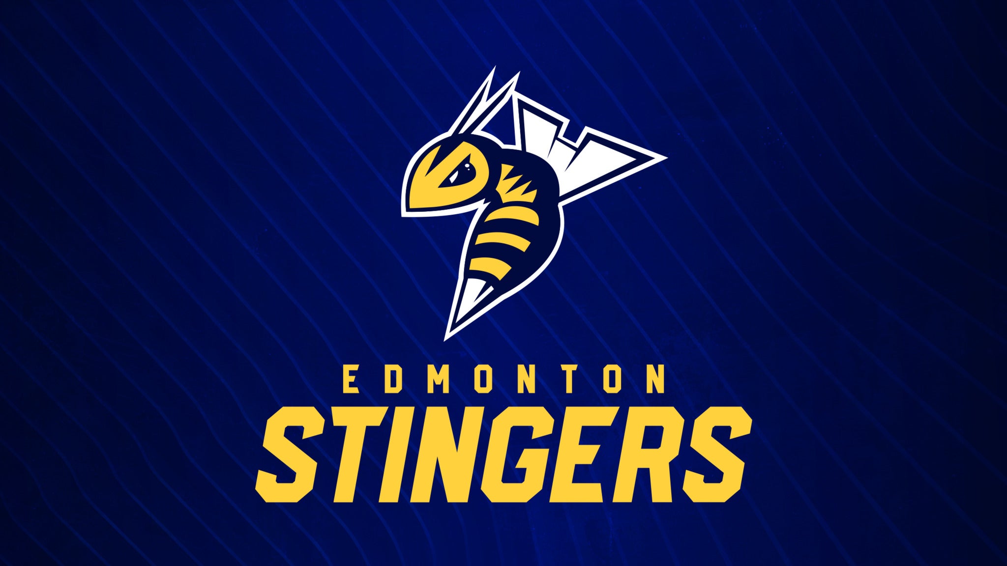 Edmonton Stingers vs. Newfoundland Growlers